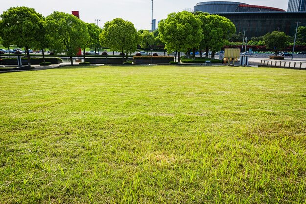 Parque no centro financeiro de lujiazui, Xangai, China