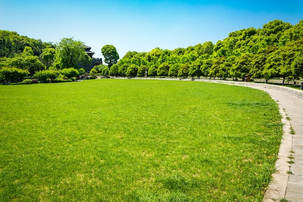 Parque verde da cidade