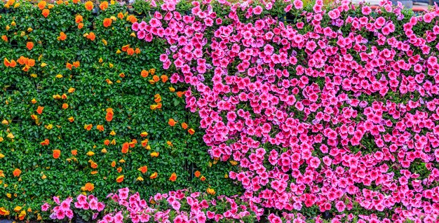 Parques florais de pedra Flor de flores públicas