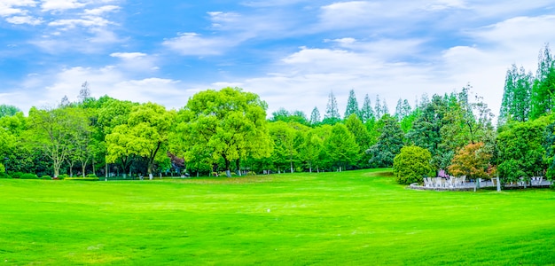 Parques, montanhas, reflexão, montanha, decoração, jardim