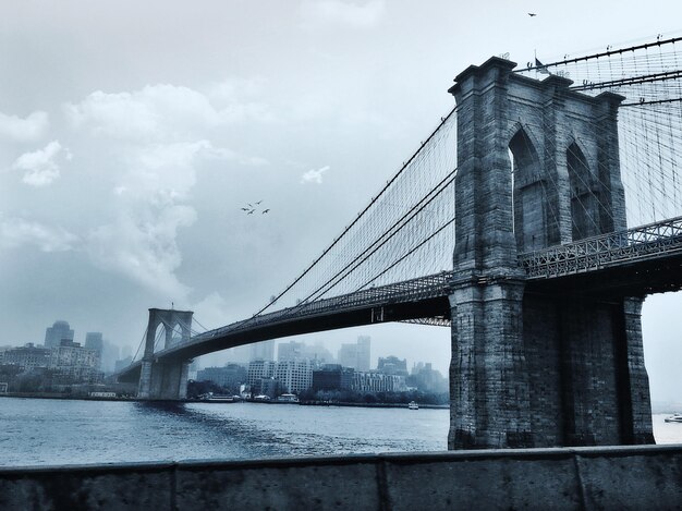 Pássaros voando sobre a ponte do Brooklyn em Nova York, EUA