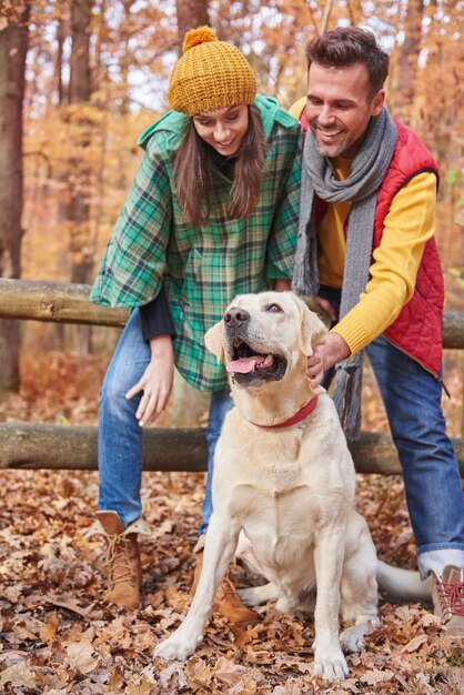 Passeio de outono com cachorro fofo