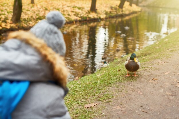 Pato à beira da água