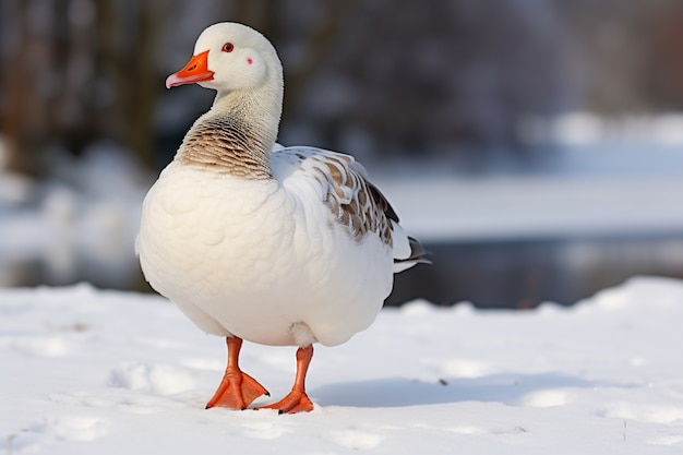 Foto grátis pato na natureza gerar imagem