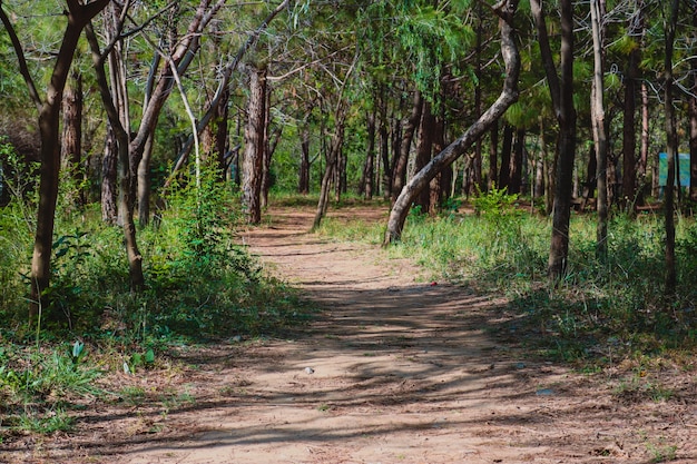 Patrimônio da estrada que trekking