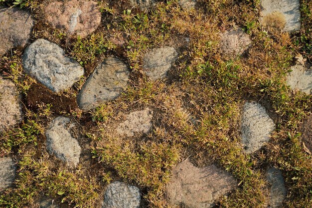 Pavimento de pedra de pedras de pavimentação ásperas não tratadas, cobertas de musgo e grama, uma estrada antiga Ideia de fundo natural