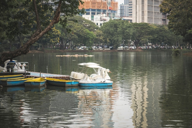 Pedalinho, barcos, em, parque lumphini, bangkok