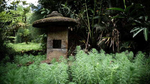 Pedras equilibradas na floresta