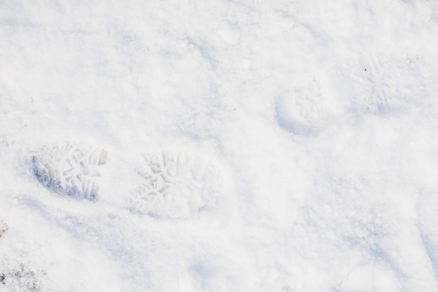 Pegada fresca na neve