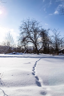 Pegadas profundas cobertas de neve em um monte de neve em um jardim abandonado no campo