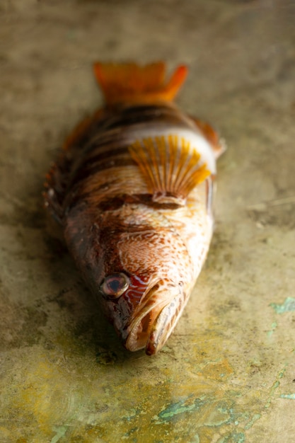 Peixe cru na mesa de alto ângulo