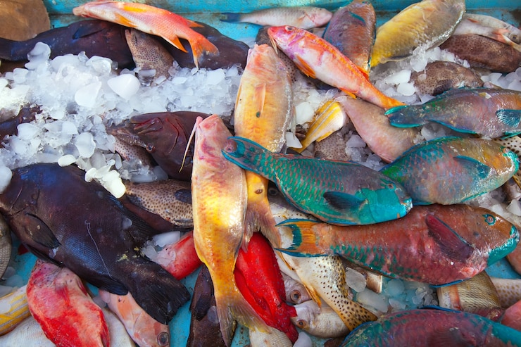 Foto grátis peixe cru no balcão do mercado