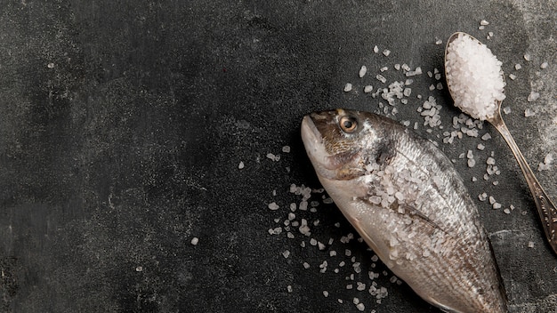 Foto grátis peixe de frutos do mar crus e sal marinho copiar espaço