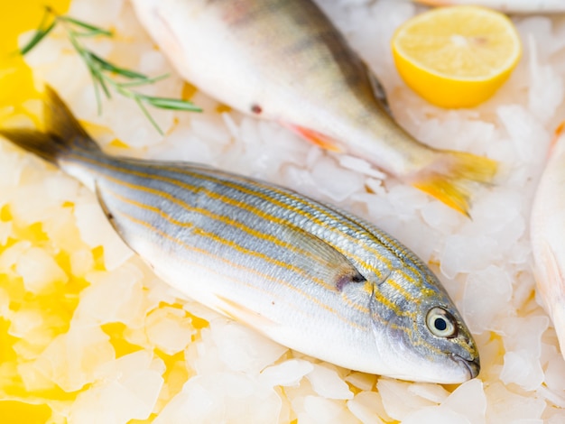 Foto grátis peixe fresco de alto ângulo na mesa