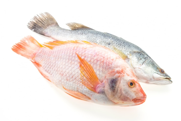 Foto grátis peixe fresco