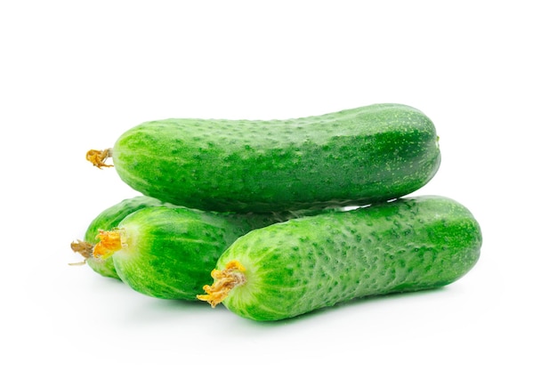 Pepino isolado