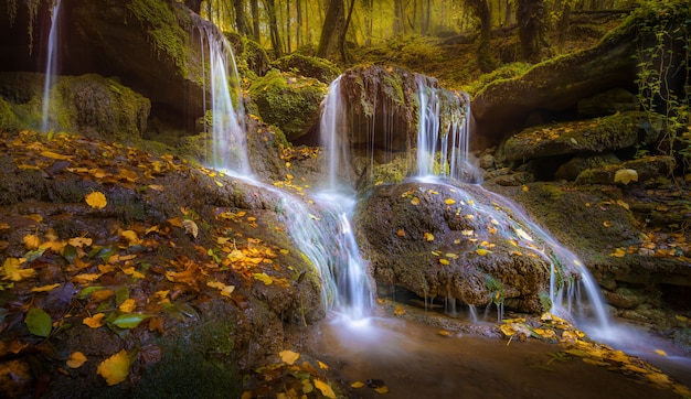 Pequena cachoeira nas rochas com folhas caídas no outono