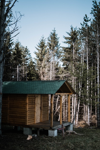 pequena casa de madeira, cercada por árvores altas em uma floresta