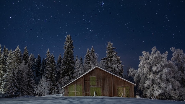 Pequena casa de madeira na bela floresta de inverno no céu estrelado