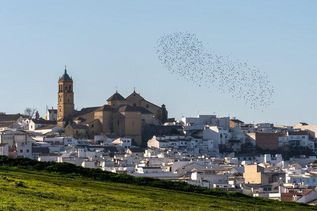 Pequena cidade no campo