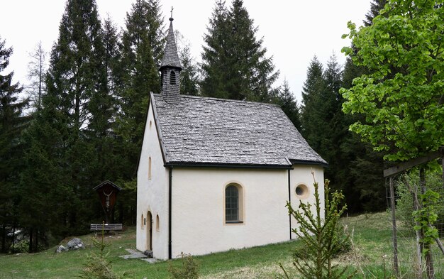 Pequena igreja branca em um terreno verde cercado por altos abetos