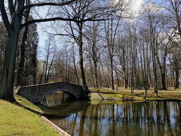 Pequena ponte sobre um rio cercado por vegetação em Jelenia Gora, Polônia