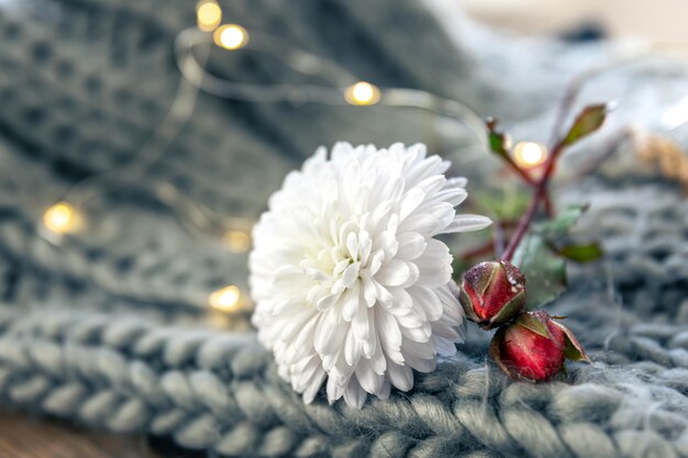 Pequenas flores brancas em um elemento de malha fechada