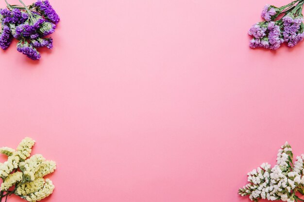 Pequenas flores em fundo rosa
