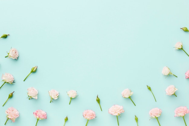 Pequenas rosas sobre fundo azul, com espaço de cópia