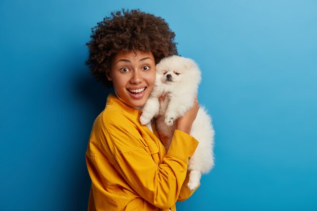 Pequeno animal de estimação com pedigree descansa em casa nas mãos de uma mulher. feliz dona do animal posa com seu novo amigo, feliz depois que o veterinário examinou que o cachorro está saudável