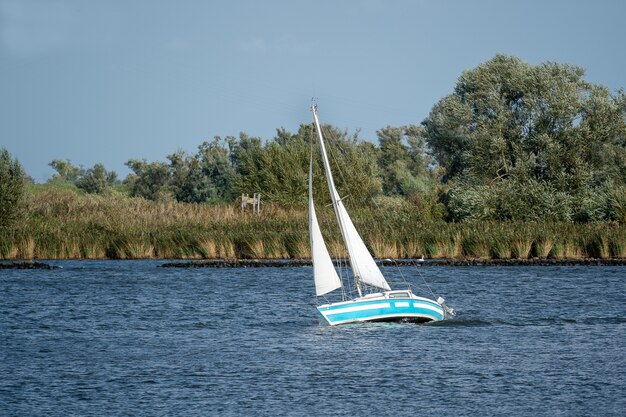 Pequeno barco à vela em um lago cercado por árvores sob a luz do sol