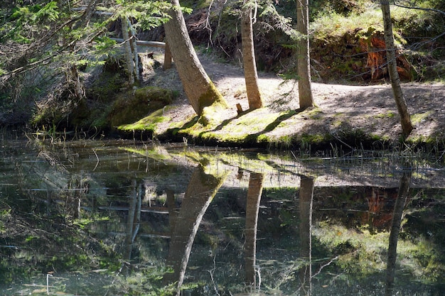 Pequeno lago sujo chamado sulfne no tirol do sul