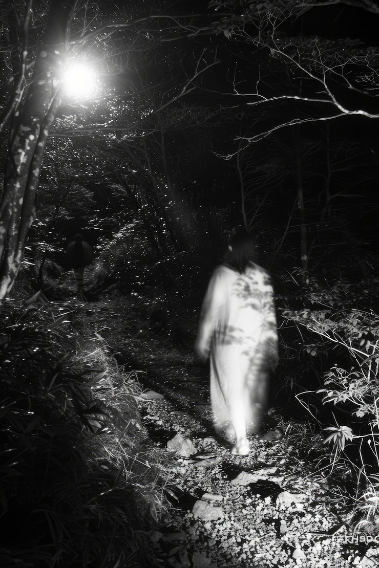 Foto grátis personagem misterioso na floresta