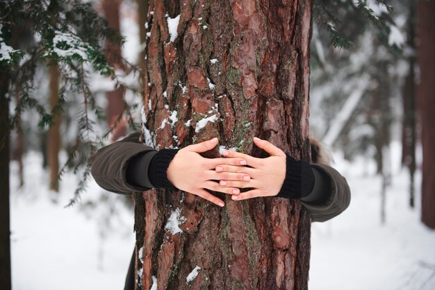 Perto das mãos de uma mulher abraçando uma árvore