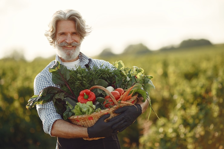 Foto grátis perto do velho fazendeiro segurando uma cesta de legumes. o homem está parado no jardim. sênior em um avental preto.
