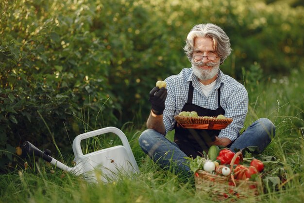 Perto do velho fazendeiro segurando uma cesta de legumes. O homem está parado no jardim. Sênior em um avental preto.