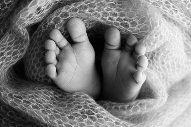 Pés macios de um recém-nascido em um cobertor de lã closeup de calcanhares e pés de um bebêo pé minúsculo de um recém-nascido pés de bebê cobertos com fundo isolado fotografia macro de estúdio preto e branco