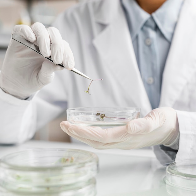 Pesquisador do laboratório de biotecnologia com placa de Petri