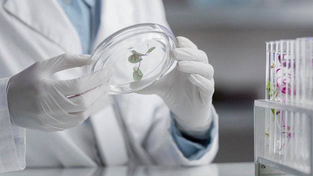 Pesquisadores em laboratório segurando placa de Petri