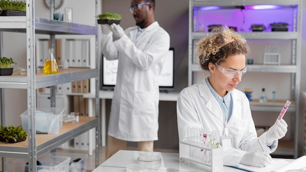 Foto grátis pesquisadores em laboratório