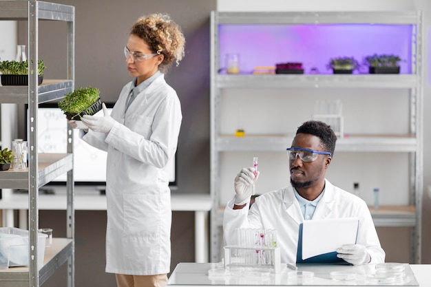 Foto grátis pesquisadores na planta de verificação de laboratório