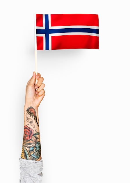 Foto grátis pessoa acenando a bandeira do reino da noruega
