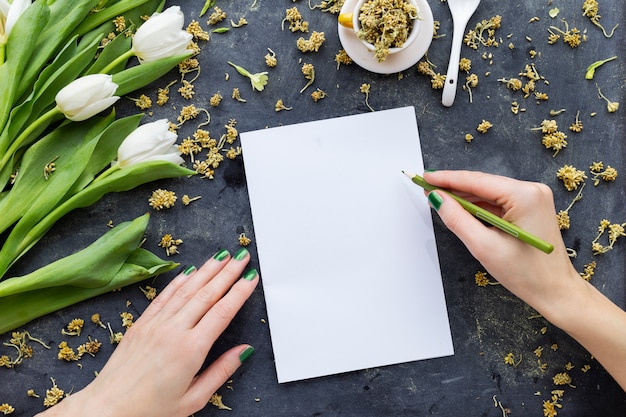 Pessoa, desenho em um papel branco com um lápis verde perto de tulipas brancas