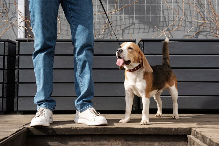 Foto grátis pessoa idosa com seu cachorro de estimação
