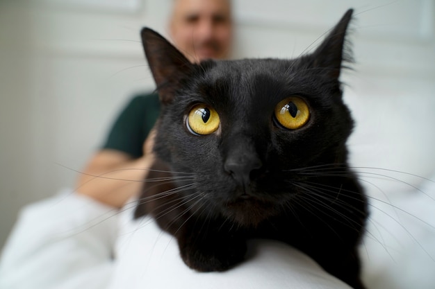 Pessoa idosa gastando tempo com seus animais de estimação