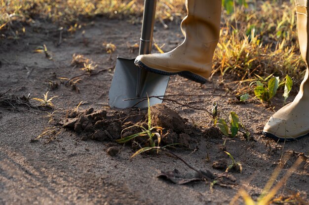 Pessoa plantando árvore na zona rural