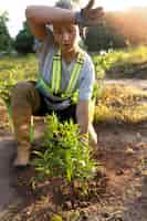 Foto grátis pessoa plantando árvore na zona rural