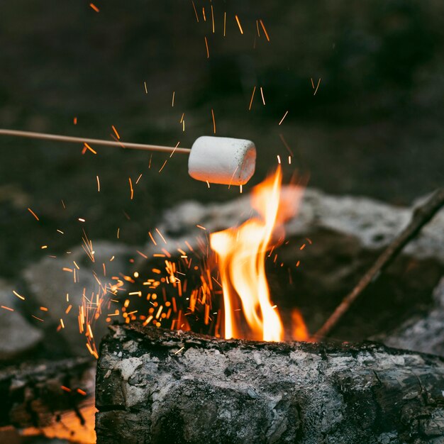 Pessoa queimando marshmallows em uma fogueira