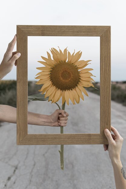 Pessoa segurando quadro com conceito de paisagem de natureza aberta