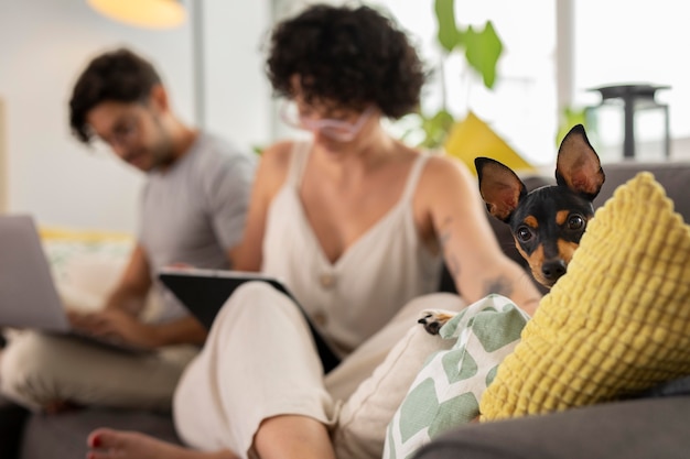 Foto grátis pessoa trabalhando em casa com cachorro de estimação